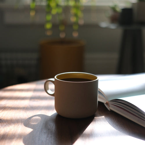 The Morning