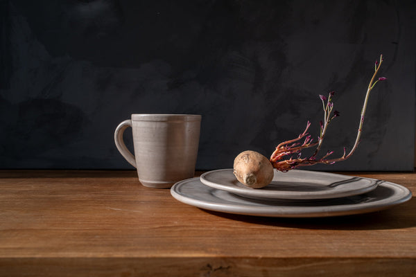 Earth-Glaze Oval Ceramic Dinner Plate Set – plates (view 4) | Roost & Roam