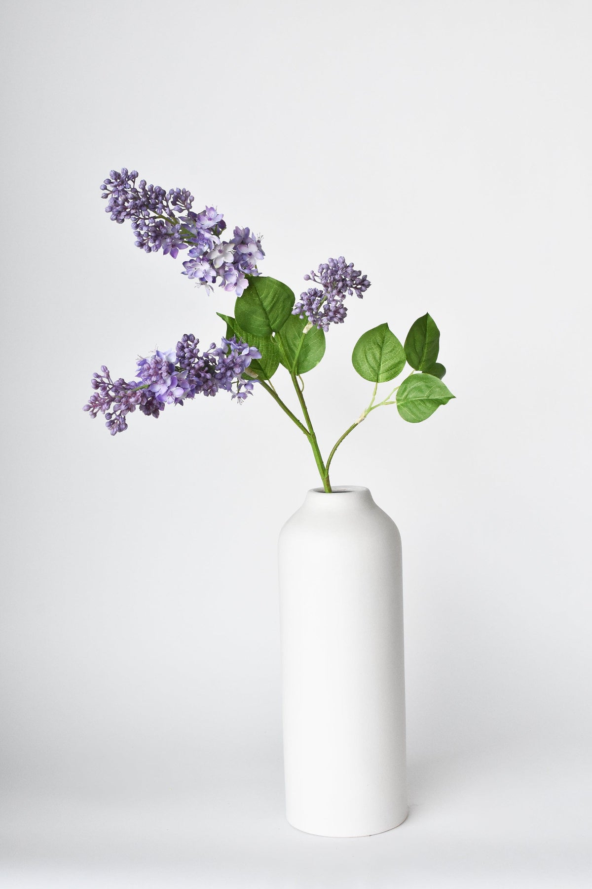 The vase finally has something worth holding