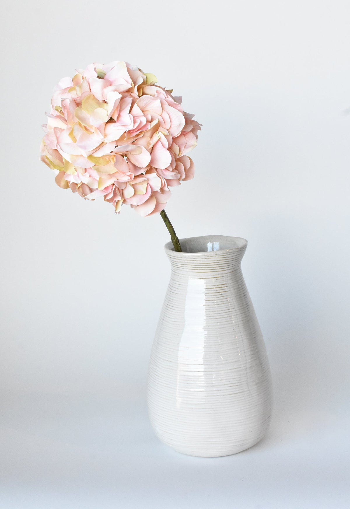 One stem that quietly holds the room together