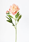 Silk-Touch Peach Peony Stem — Faux peach peony stem with layered petals and deep green foliage