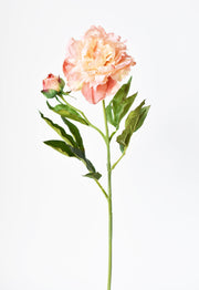 Silk-Touch Peach Peony Stem — Faux peach peony stem with layered petals and deep green foliage