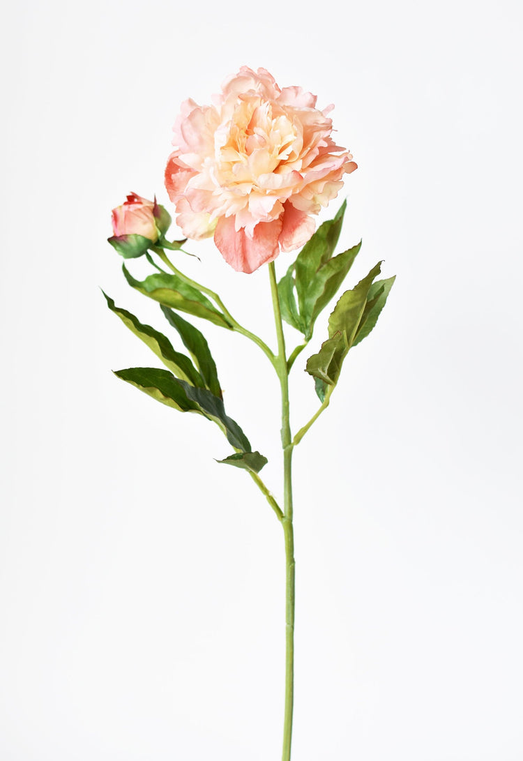 Silk-Touch Peach Peony Stem — Faux peach peony stem with layered petals and deep green foliage