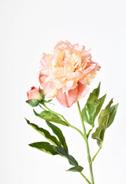 Silk-Touch Peach Peony Stem in a styled home setting
