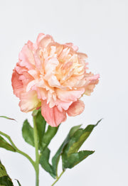 Close-up of hand-thrown stoneware glaze and texture detail — Silk-Touch Peach Peony Stem