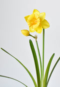 Fabric Daffodil Spray Stem — Fabric daffodil stem with open bloom, bud, and arching strap foliage