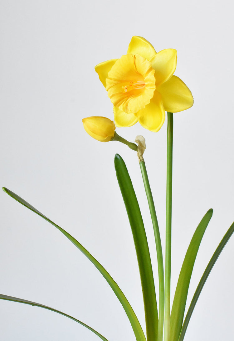 Fabric Daffodil Spray Stem — Fabric daffodil stem with open bloom, bud, and arching strap foliage