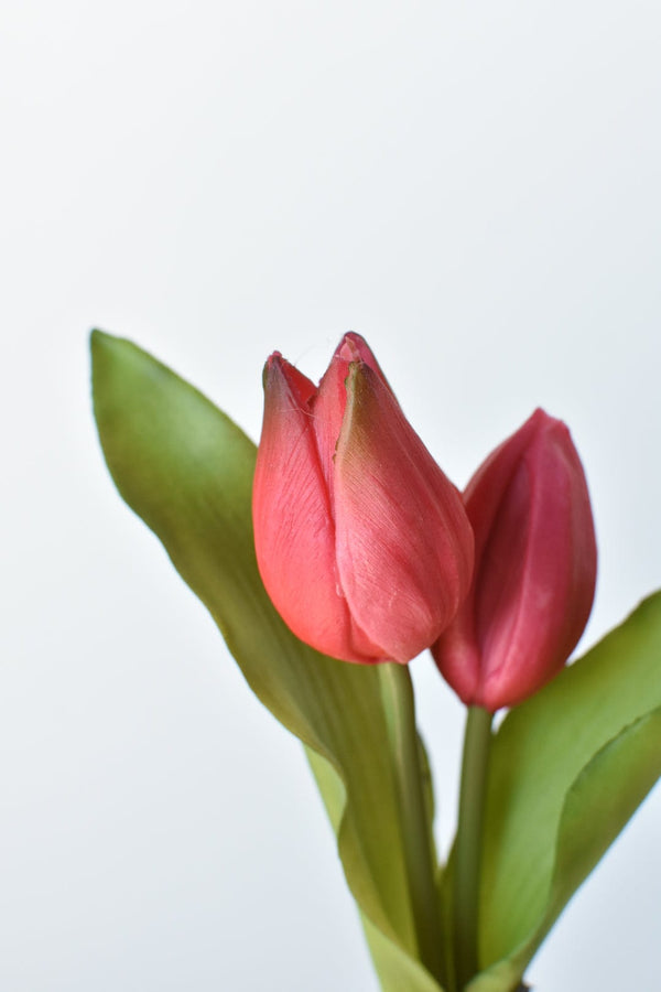 Real-Touch Fuchsia Tulip Bulb Pick in a styled home setting