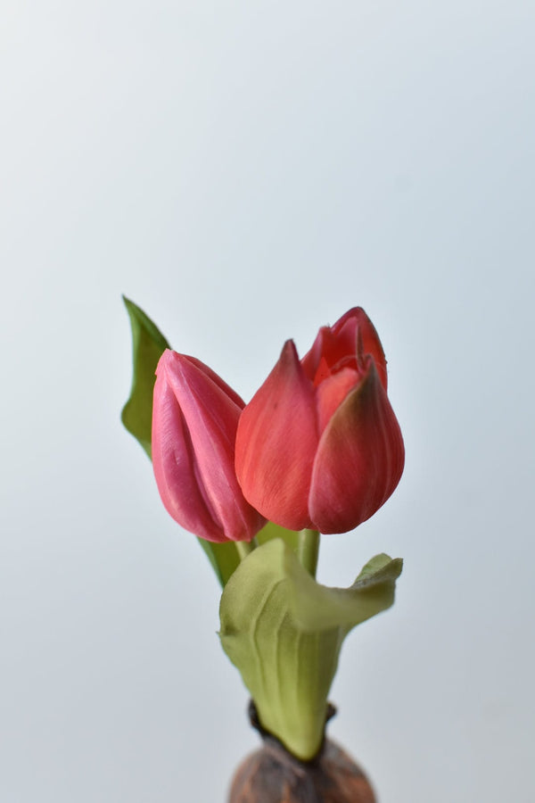 Real-Touch Fuchsia Tulip Bulb Pick — alternate view or variant option