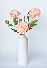 Silk-Touch Peach Peony Stem — scale reference and proportion detail