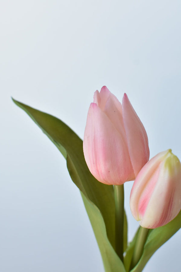 Close-up of marble veining and polished surface detail — Soft-Touch Faux Tulip Bulb Pick