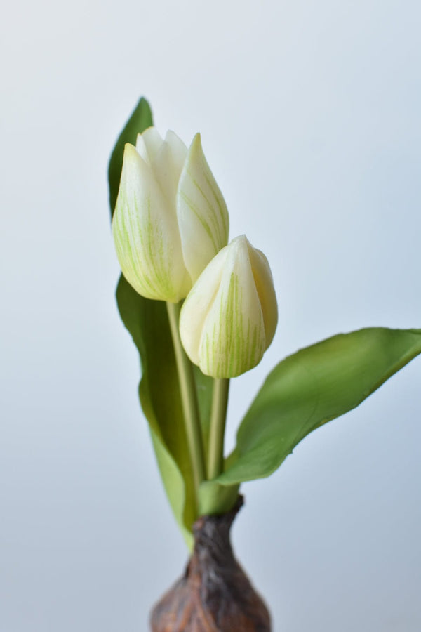 Real-Touch White Tulip Bulb Pick in a styled home setting