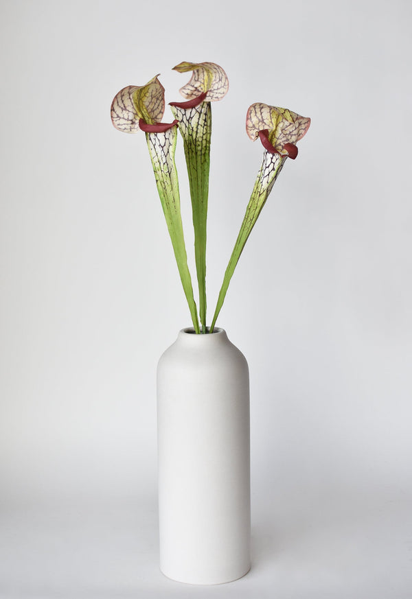 Fabric-Finish Pitcher Plant Stem — alternate view or variant option