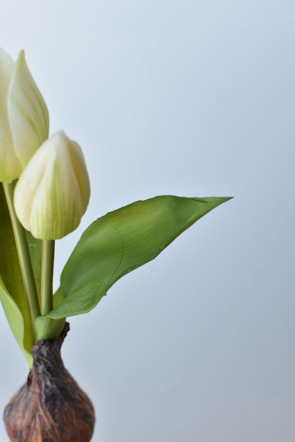 Real-Touch White Tulip Bulb Pick — alternate view or variant option