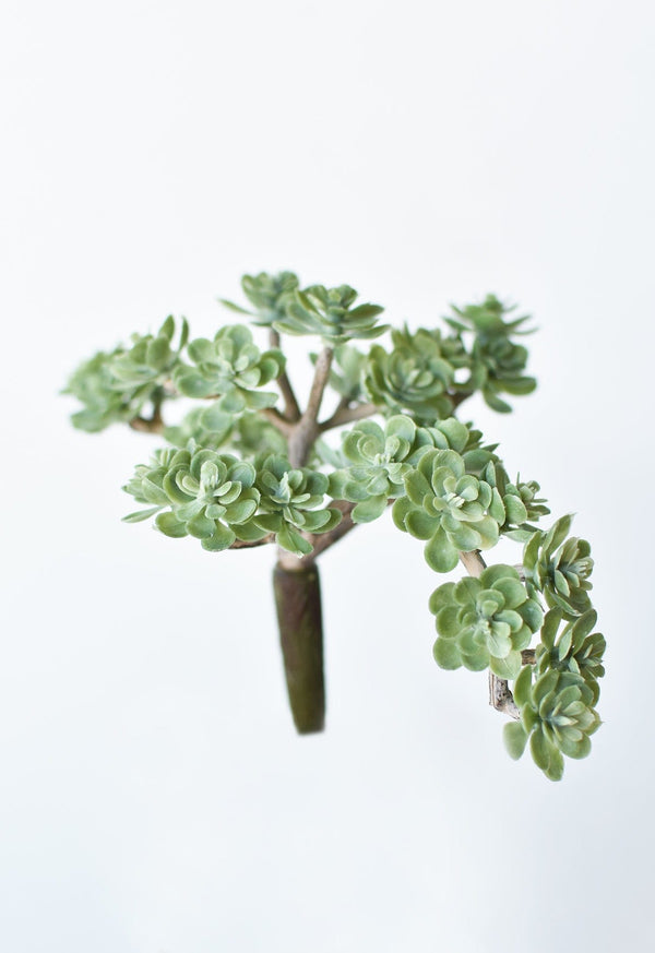 Matte Faux Sedum Succulent Pick in a styled home setting