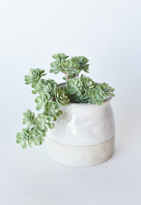 Close-up of material and construction detail — Matte Faux Sedum Succulent Pick