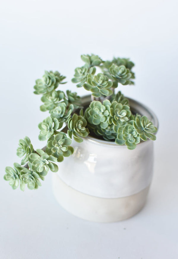 Matte Faux Sedum Succulent Pick — Matte faux sedum pick with branching rosette clusters in dusty blue-green