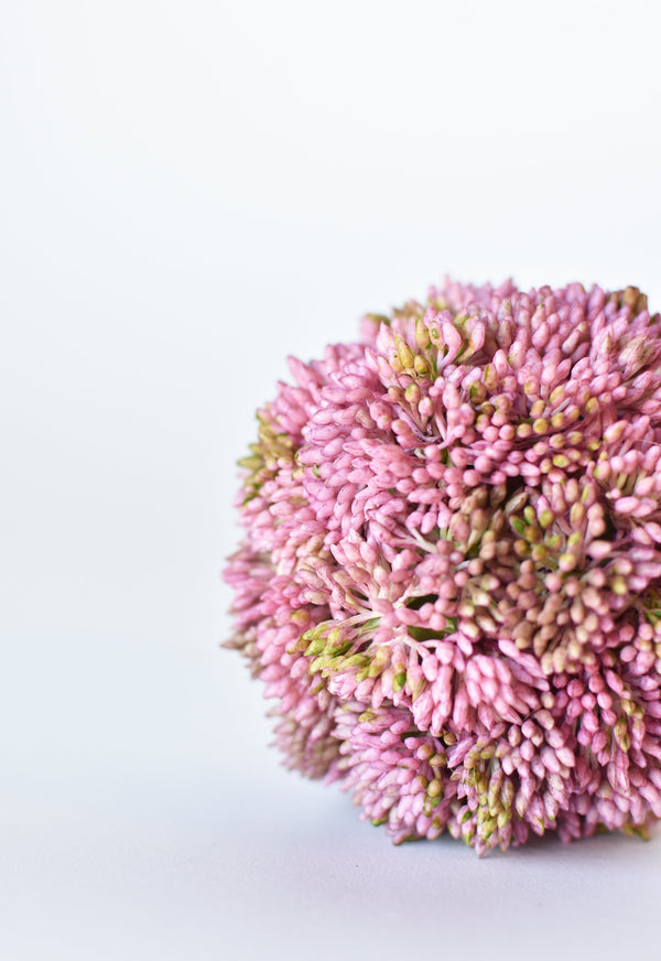 Mauve Faux Sedum Orb — A four-inch faux sedum orb in dusty mauve — textural, quiet, enduring