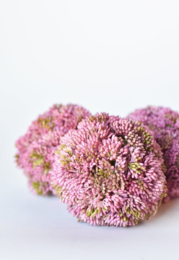 Close-up of hand-thrown stoneware glaze and texture detail — Mauve Faux Sedum Orb