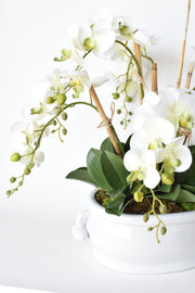 Creamware Oval Pomegranate Cachepot — alternate view or variant option