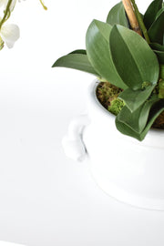 Creamware Oval Pomegranate Cachepot — scale reference and proportion detail
