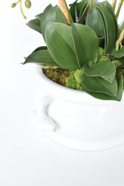 Creamware Oval Pomegranate Cachepot — back and side profile detail