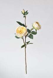 Close-up of concrete texture and surface finish detail — Apricot Faux Cabbage Rose Stem