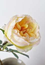 Apricot Faux Cabbage Rose Stem — back and side profile detail