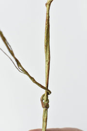 Dusty Blue Faux Berry Stem — scale reference and proportion detail