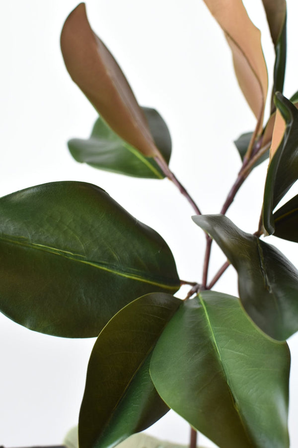 Two-Tone Faux Magnolia Leaf Stem