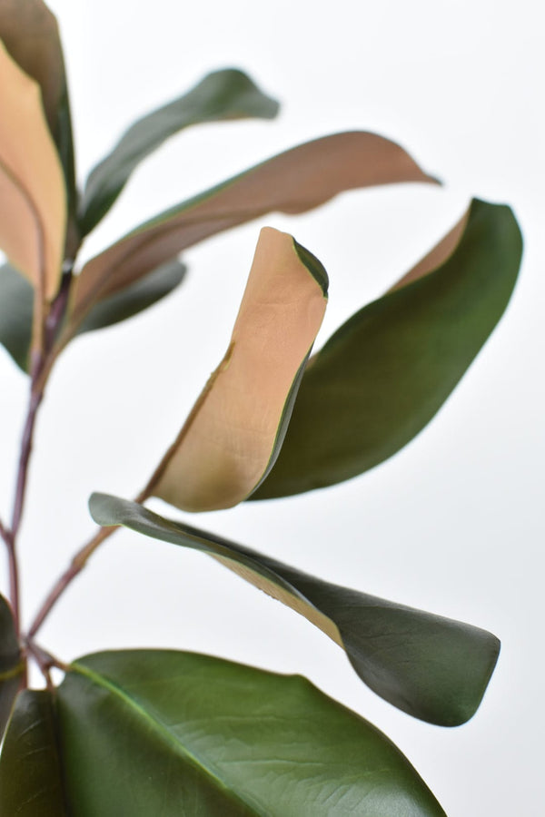 Two-Tone Faux Magnolia Leaf Stem