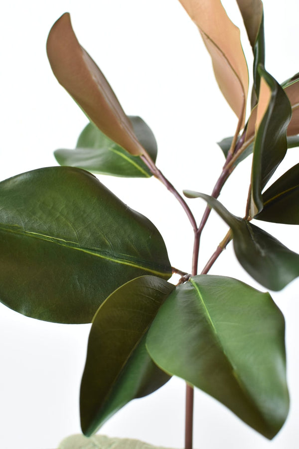 Two-Tone Faux Magnolia Leaf Stem