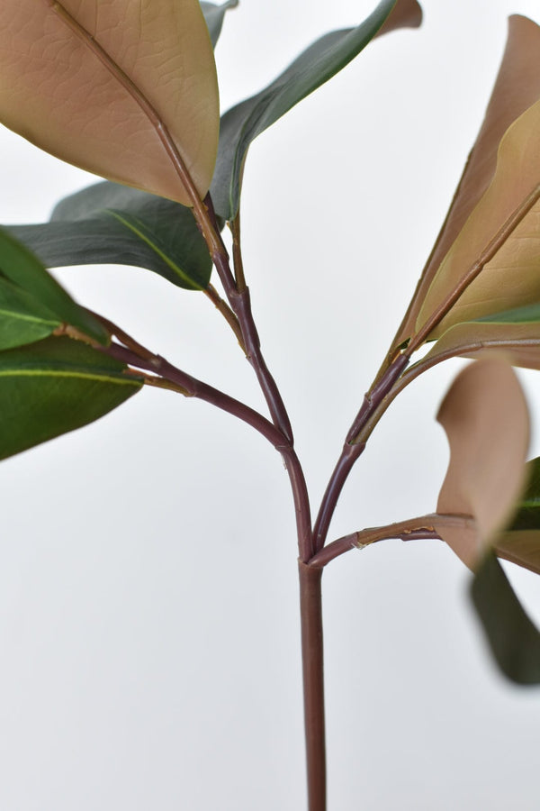 Two-Tone Faux Magnolia Leaf Stem