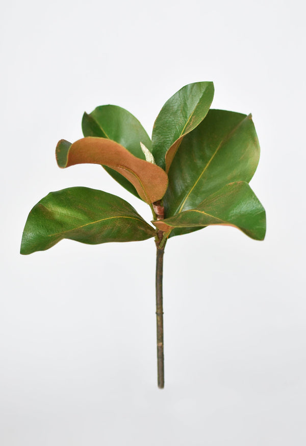 Faux Magnolia Leaf Stem — A 14-inch faux magnolia stem with copper-rust and deep green foliage