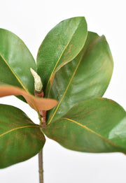 Faux Magnolia Leaf Stem in a styled home setting