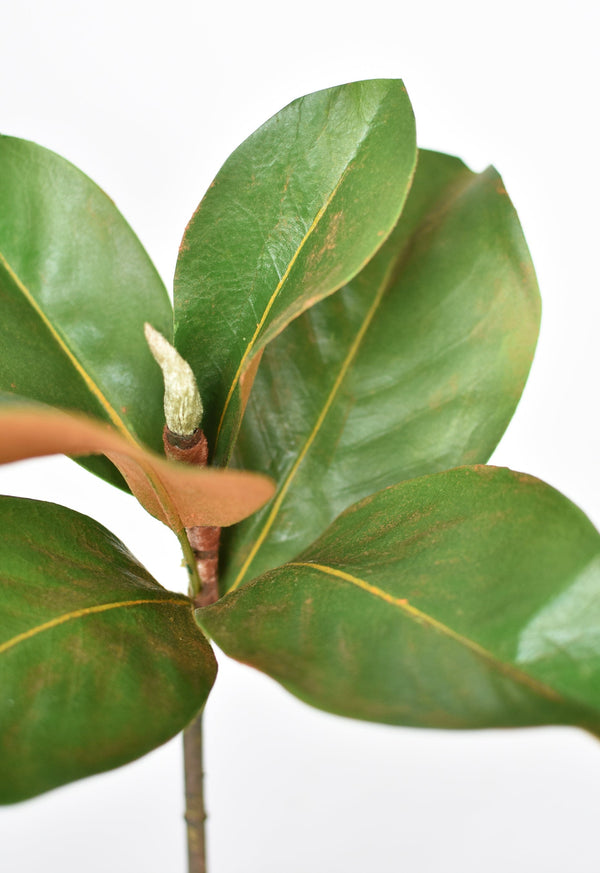 Faux Magnolia Leaf Stem in a styled home setting