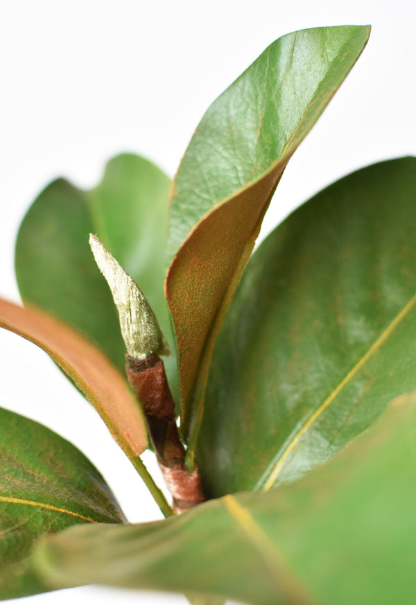 Close-up of hand-thrown stoneware glaze and texture detail — Faux Magnolia Leaf Stem