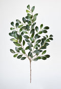Faux Ruscus Botanical Leaf Stem — A 26-inch faux ruscus stem with layered greens and a shapeable wire core
