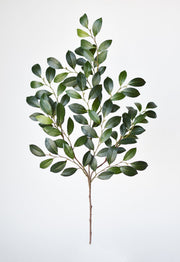 Faux Ruscus Botanical Leaf Stem — A 26-inch faux ruscus stem with layered greens and a shapeable wire core
