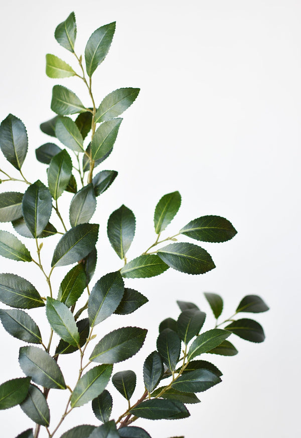 Faux Ruscus Botanical Leaf Stem in a styled home setting