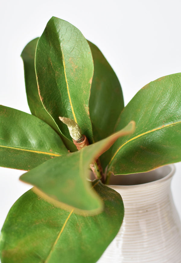 Faux Magnolia Leaf Stem — scale reference and proportion detail