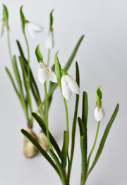 Resin Bulb Snowdrop Stem in a styled home setting