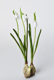 Resin Bulb Snowdrop Stem — alternate view or variant option