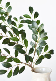 Faux Ruscus Botanical Leaf Stem — alternate view or variant option