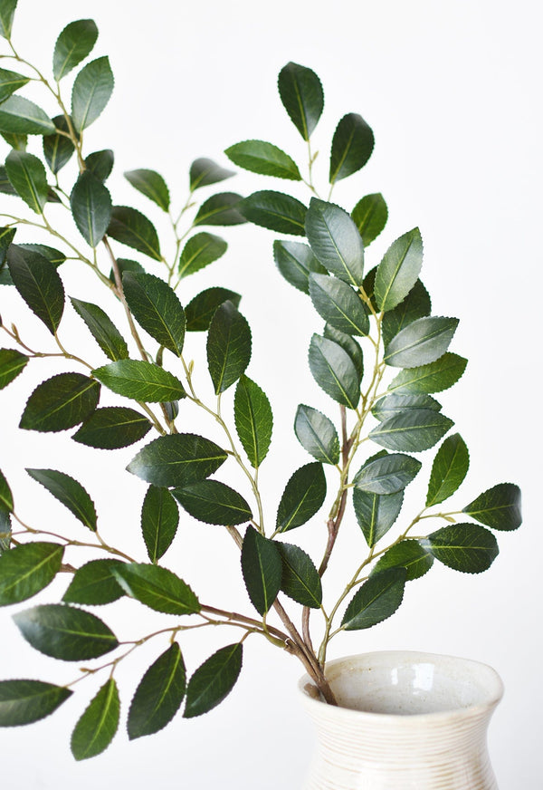 Faux Ruscus Botanical Leaf Stem — alternate view or variant option