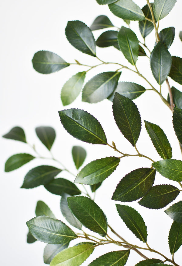 Faux Ruscus Botanical Leaf Stem — scale reference and proportion detail