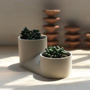 Matte Ceramic Double Planter — styled in a complete room vignette