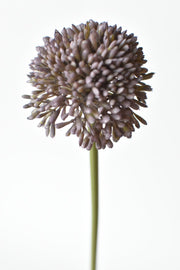 Dusty Violet Faux Allium Stem — alternate view or variant option