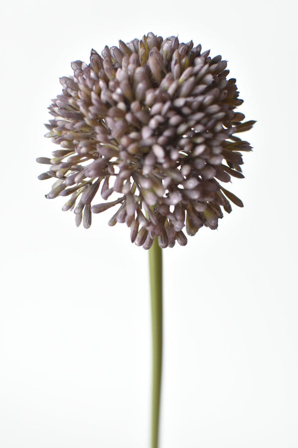 Dusty Violet Faux Allium Stem — alternate view or variant option