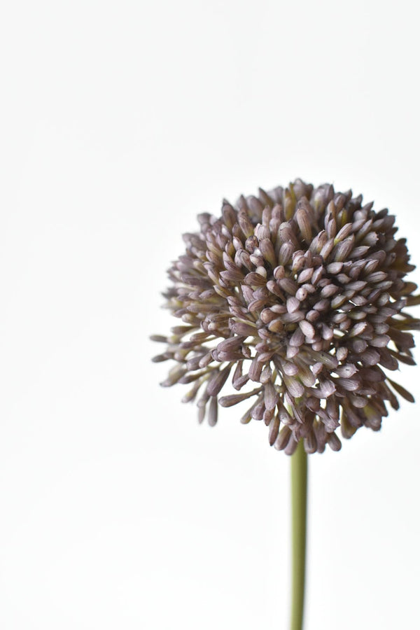 Dusty Violet Faux Allium Stem — Dusty violet globe allium on a sage stem — architectural faux floral for any vase